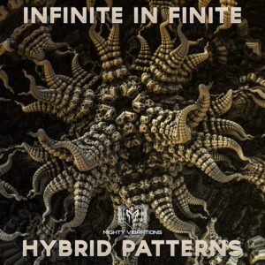 Read more about the article INFINITE IN FINITE – HYBRID PATTERNS