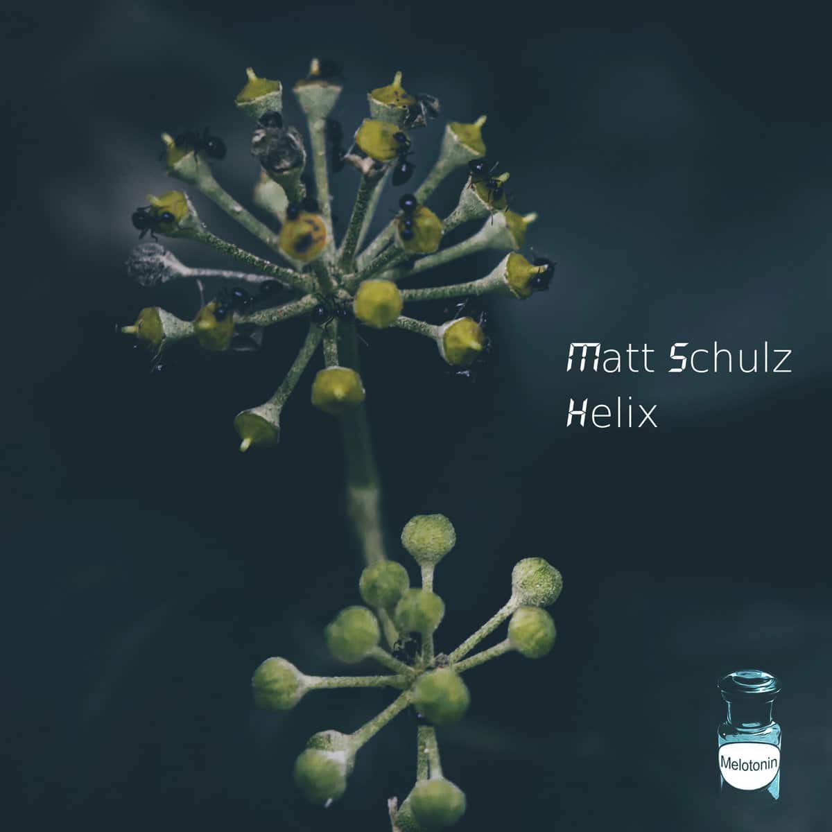 You are currently viewing A Submerged Sonic Odyssey: “Helix” EP by Matt Schulz