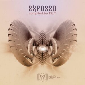 VA – EXPOSED – Compiled By FILT