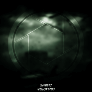 SCHEPPERZ – WRECKED BIRDS