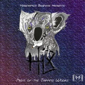 VA – Night Of The Tripping Wooks