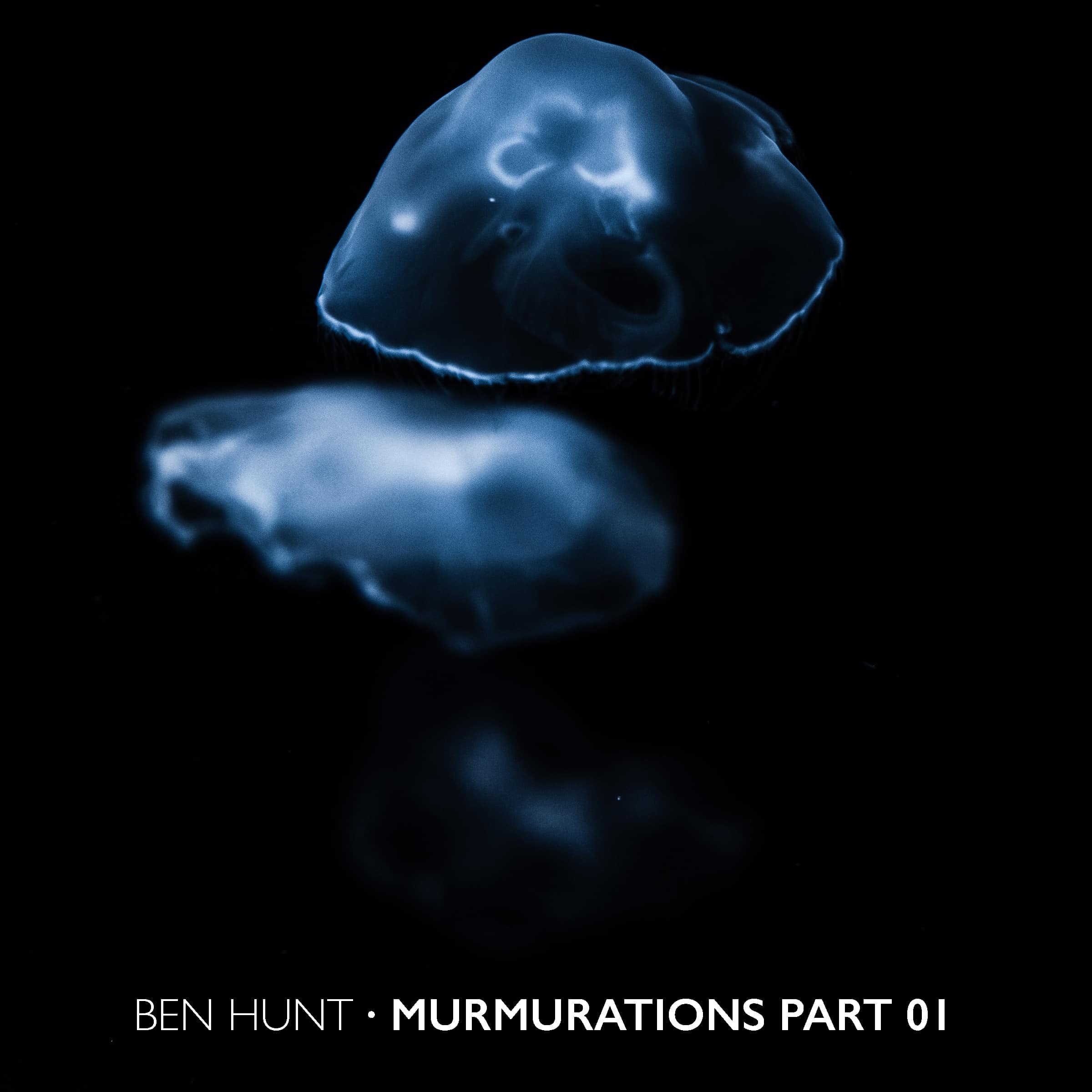 Read more about the article Murmurations Part 01 – Dj Mix by Ben Hunt
