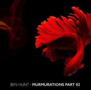 Read more about the article Exclusive Dj Mixes EP02 – Ben Hunt Unleashes Murmurations Mix Part 2 with Electrifying Tracks and Remix Magic.