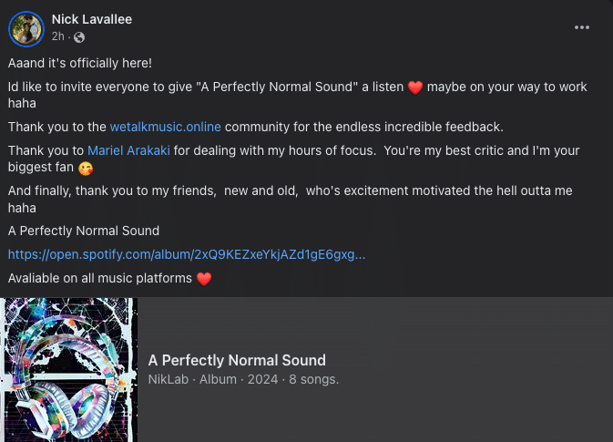 Read more about the article NikLab – A Perfectly Normal Sound