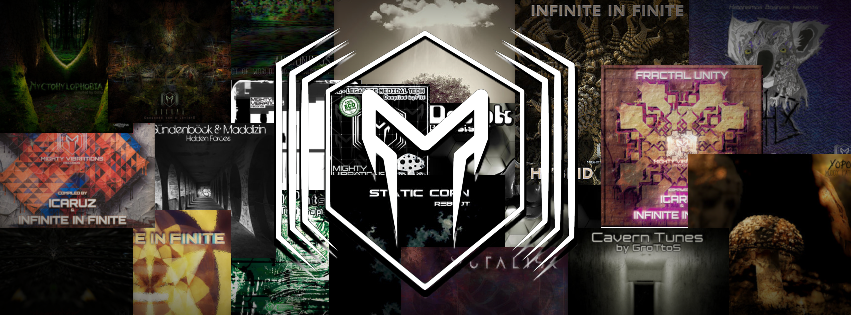 Read more about the article Mighty Vibrations Records – 2025 and Beyond