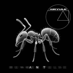 AIRYULE – ANT